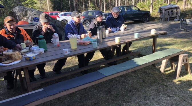 Soliga dagar vid milan